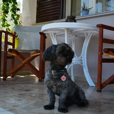 House Semesterbostad