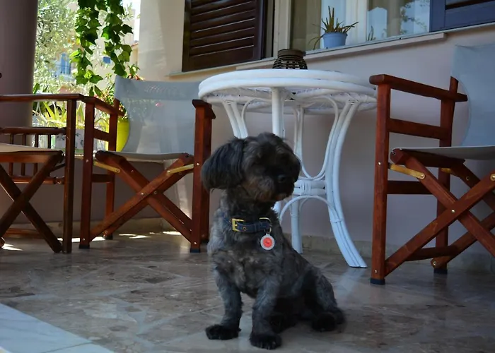 House Prázdninový dům